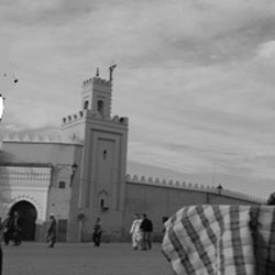 The Mosque Nice berrima