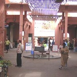 Destruction of the market of gueliz