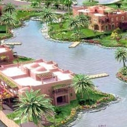 River palm or mosquitoes Island