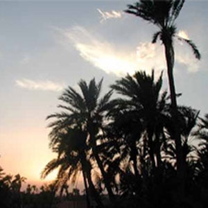 The tourist sector creates 85% of new jobs in Marrakech